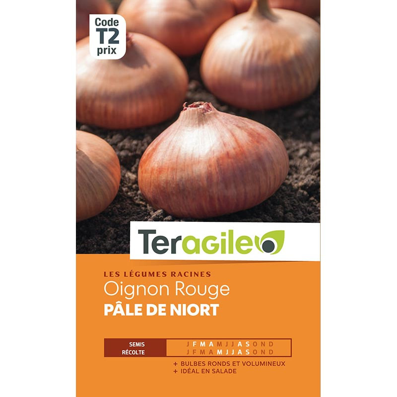 Graines d'oignons rouge pale niort