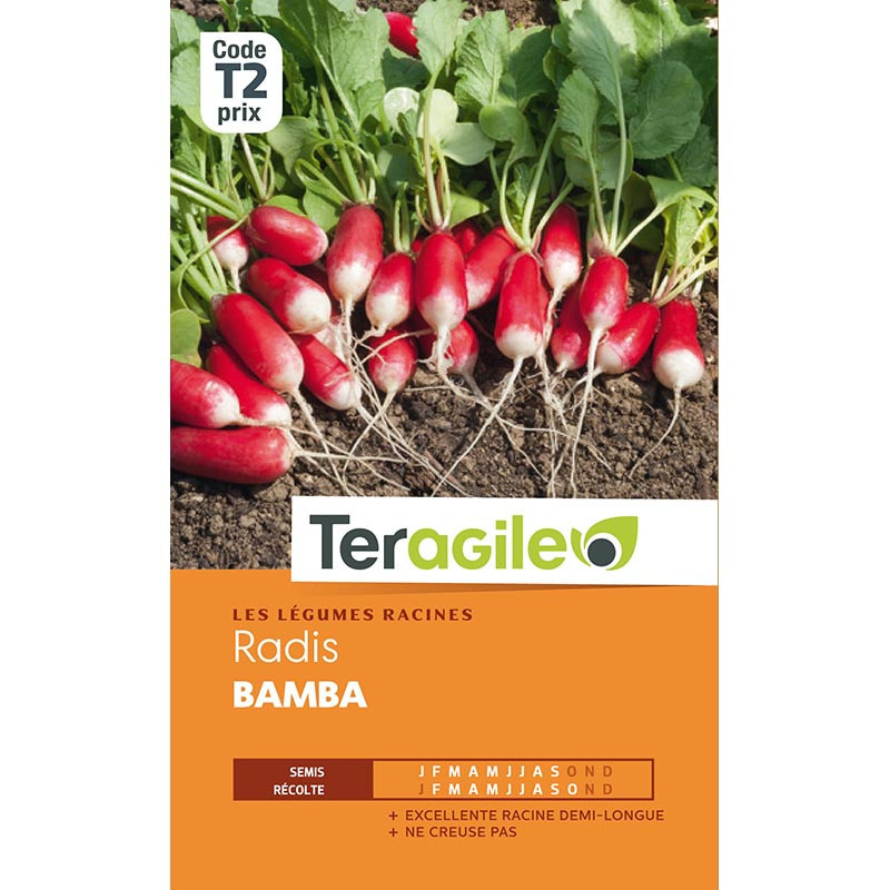 Graines radis bamba - Teragile