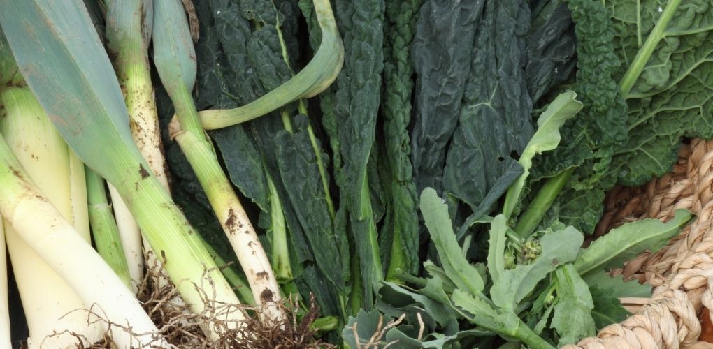 Légumes d'hiver dans un panier