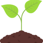 Plants en développement vectoriel