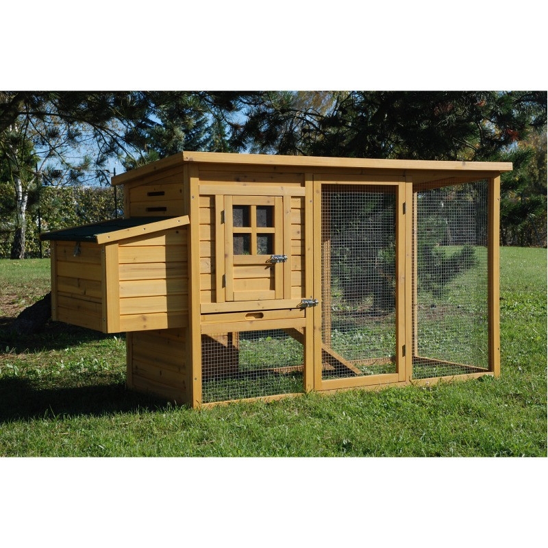 Poulailler en bois pour poules avec pondoir