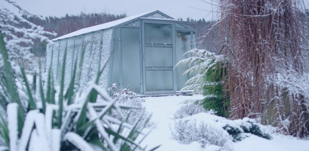 Serre de jardinage sous la neige en hiver