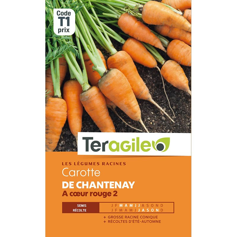 Carottes de Chantenay