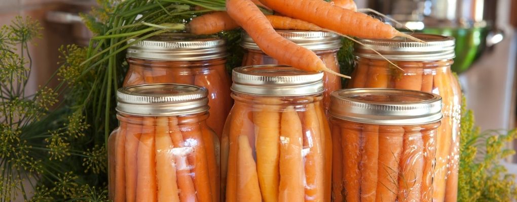 Stérilisation des carottes